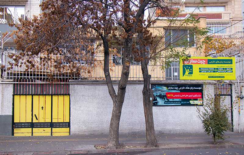 شعبه نصفراه